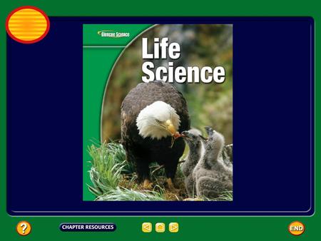 Chapter: Cells Table of Contents Section 3: VirusesViruses Section 1: Cell Structure Section 2: Viewing CellsViewing Cells.