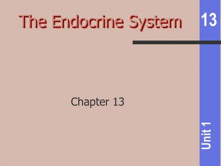 13 Unit 1 Chapter 13. 13 Unit 1 to interstitial fluid  circulation exocrine- secreted to ducts  lumen or outside the body Endocrine glands: Pituitary,