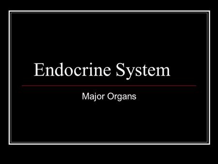 Endocrine System Major Organs. Pituitary Gland Size of a grape Hangs by a stalk from the inferior surface of the hypothalamus. Two lobes Anterior lobe.