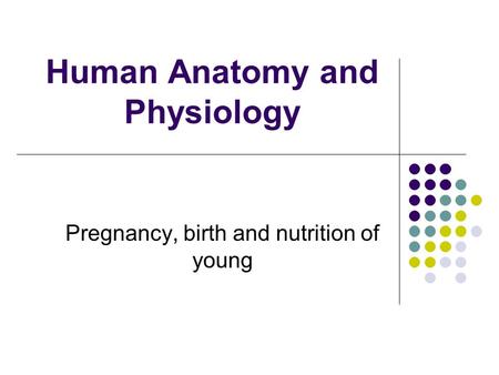 Human Anatomy and Physiology Pregnancy, birth and nutrition of young.