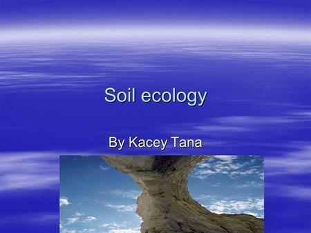 Soil ecology By Kacey Tana. Rock layers  Ground layer: plants grow and animals live here. A thick cover of plants can keep the soil cool and from dying.