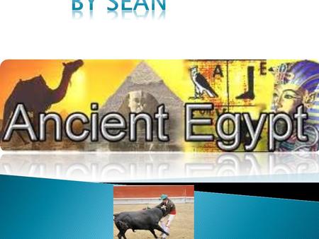 By seán moran.  I am doing a PowerPoint on ancient Egypt  I hope you all like it.