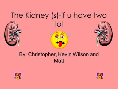 The Kidney (s)-if u have two lol By: Christopher, Kevin Wilson and Matt.