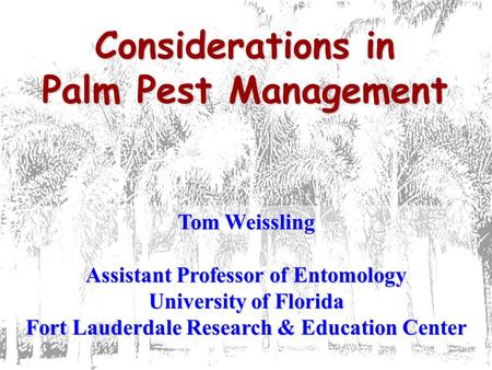 Considerations in Palm Pest Management Tom Weissling Assistant Professor of Entomology University of Florida Fort Lauderdale Research & Education Center.