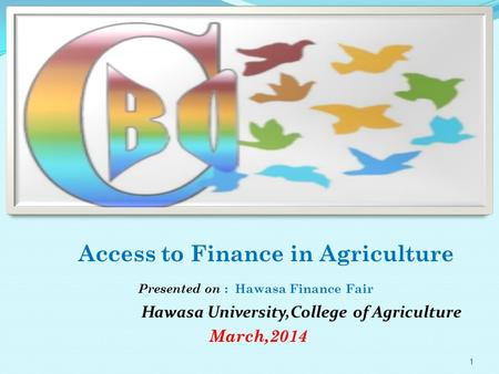 Access to Finance in Agriculture Presented on : Hawasa Finance Fair Hawasa University,College of Agriculture March,2014 1.