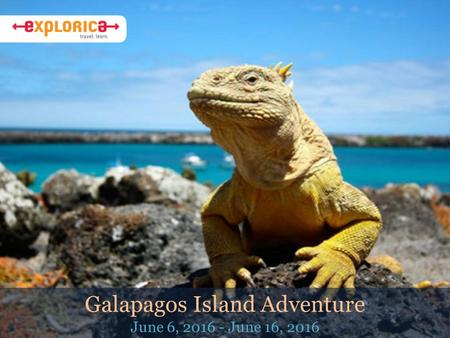 Galapagos Island Adventure June 6, 2016 - June 16, 2016.