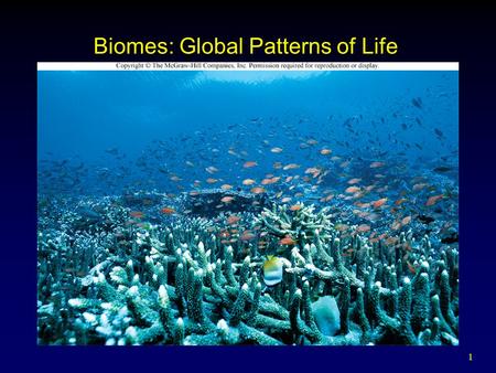 1 Biomes: Global Patterns of Life. 2 Outline Terrestrial Biomes Marine Ecosystems  Open Ocean  Shallow Coasts Freshwater Ecosystems  Lakes  Wetlands.