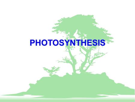 PHOTOSYNTHESIS.