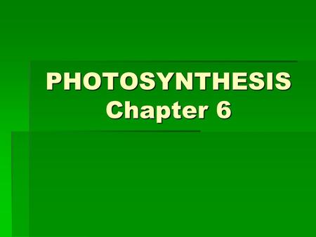 PHOTOSYNTHESIS Chapter 6