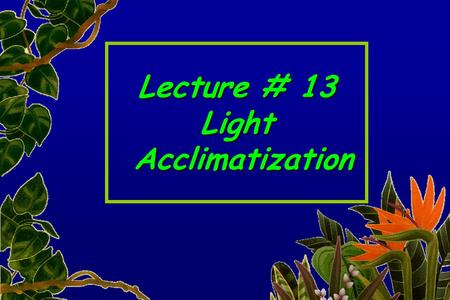 Lecture # 13 Light Acclimatization Acclimatization.