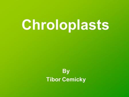 Chroloplasts By Tibor Cemicky. What are chroloplasts? Chloroplasts are organelles found in plant cells and other eukaryotic organisms that conduct photosynthesis.