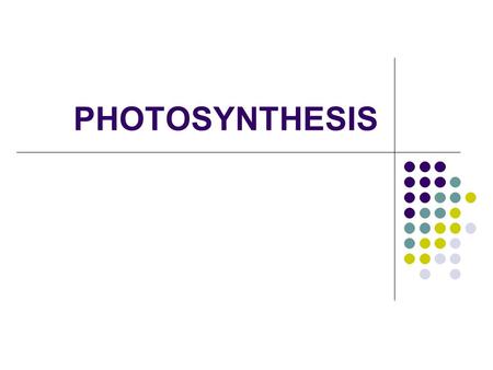 PHOTOSYNTHESIS.