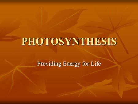 PHOTOSYNTHESIS Providing Energy for Life. Do you remember food web terminology? Autotrophs = producers Autotrophs = producers Photoautotrophs Photoautotrophs.