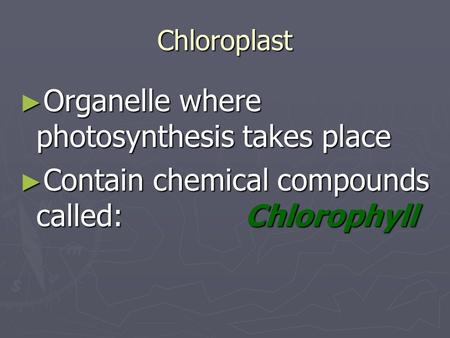 Chloroplast ► Organelle where photosynthesis takes place ► Contain chemical compounds called: Chlorophyll.