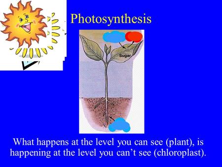 Photosynthesis What happens at the level you can see (plant), is happening at the level you can’t see (chloroplast).