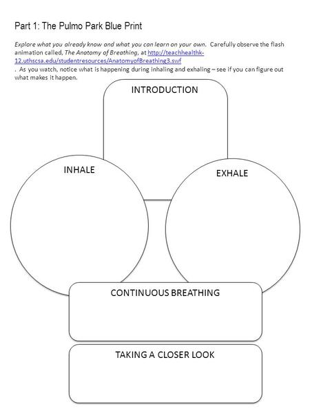 Part 1: The Pulmo Park Blue Print Explore what you already know and what you can learn on your own. Carefully observe the flash animation called, The Anatomy.