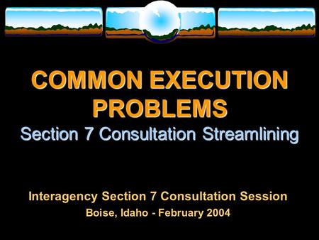 COMMON EXECUTION PROBLEMS Section 7 Consultation Streamlining Interagency Section 7 Consultation Session Boise, Idaho - February 2004.