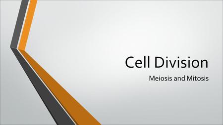 Cell Division Meiosis and Mitosis.