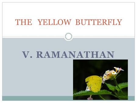 V. RAMANATHAN THE YELLOW BUTTERFLY READING COMPREHENSION IT IS AN INTERESTING STORY WRITTEN BY NILLIMA SINHA. THE STORY TELLS US HOW THE CHILD SONU CHASED.