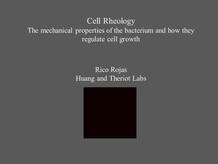 Cell Rheology The mechanical properties of the bacterium and how they regulate cell growth Rico Rojas Huang and Theriot Labs.