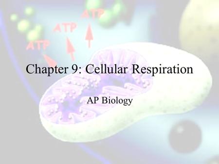 Chapter 9: Cellular Respiration AP Biology. Oxidation and Reduction E is gained by the transfer of e ’ s The relocation of e- ’ s releases the stored.