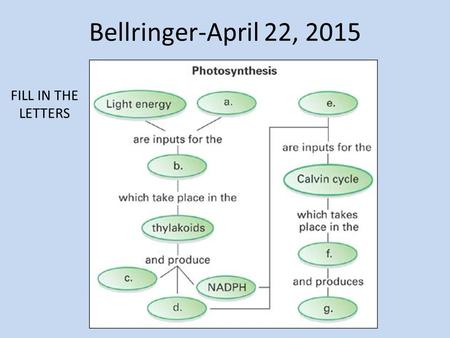 Bellringer-April 22, 2015 FILL IN THE LETTERS. Overview of Cellular Respiration H. Biology Ms. Kim.