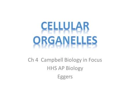 Ch 4 Campbell Biology in Focus HHS AP Biology Eggers