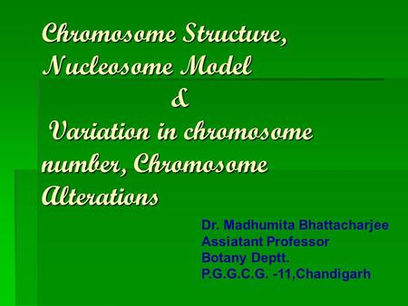 Chromosome Structure, Nucleosome Model