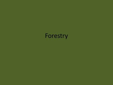 Forestry. Tree terms Saw log- 6-8 inches for soft wood, 10-12 inches for hardwoods.