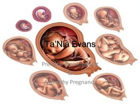 Ta’Nia Evans Prenatal Development & A Healthy Pregnancy.