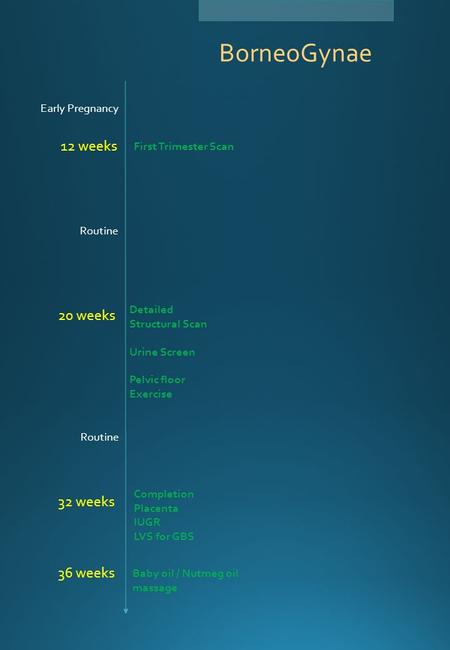 Early Pregnancy Detailed Structural Scan Urine Screen Pelvic floor Exercise First Trimester Scan Routine 12 weeks 20 weeks 32 weeks Completion Placenta.