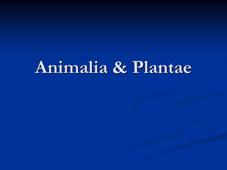 Animalia & Plantae. Animalia -Type of cell: Eukaryotes -Type of cell: Eukaryotes Eukaroytes: contains a nucleus & membrane covered organelles. Eukaroytes: