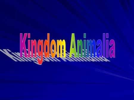 Kingdom Animalia Characteristics EukaryoticMulticellularHeterotrophic –ingest food Specialized cells –Most have tissues No cell wall Most motile Most.