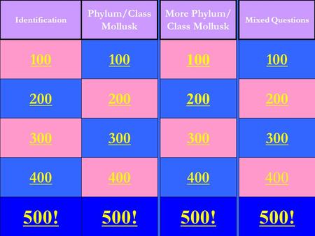 100 200 300 400 500! 100 200 300 400 500! 100 200 300 400 500! 100 200 300 400 500! Identification Phylum/Class Mollusk More Phylum/ Class Mollusk Mixed.