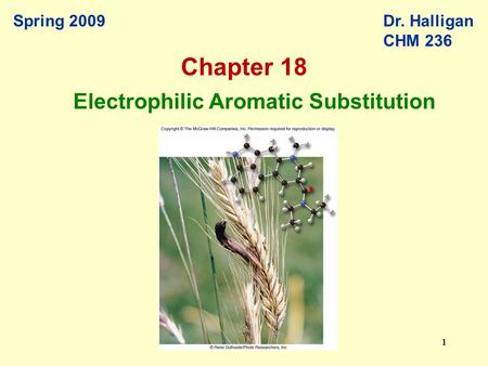 111111 Spring 2009Dr. Halligan CHM 236 Electrophilic Aromatic Substitution Chapter 18.