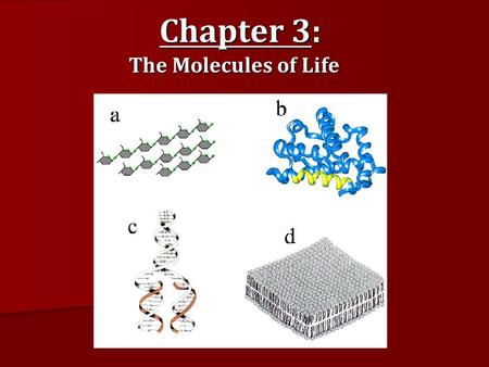 Chapter 3: The Molecules of Life. Organic Compounds Compounds in the natural world that contain the element carbon (bonded to hydrogen). Hydrocarbons.