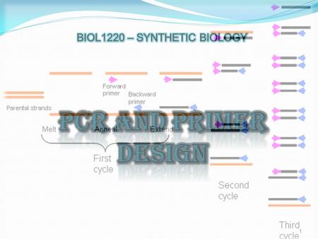 1. 2 VARIANTS OF PCR APPLICATIONS OF PCR MECHANICS OF PCR WHAT IS PCR? PRIMER DESIGN.