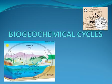 BIOGEOCHEMICAL CYCLES