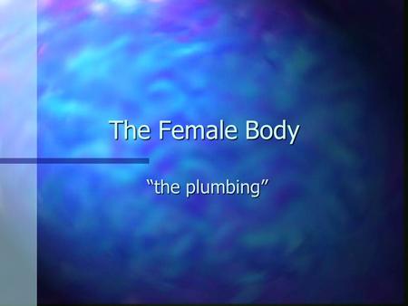 The Female Body “the plumbing”.