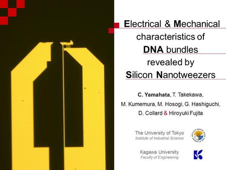  Lyon, France  June 12, 2007 | Christophe Yamahata  Electrical & Mechanical characteristics of DNA bundles revealed by Silicon Nanotweezers C. Yamahata,