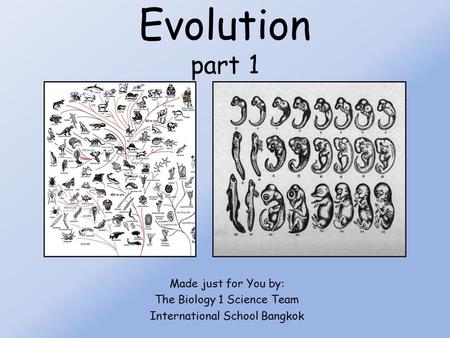 Evolution part 1 Made just for You by: The Biology 1 Science Team International School Bangkok.