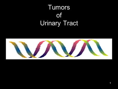 1 Tumors of Urinary Tract. 2 Urinary Tract Neoplasm KidneyRenal Cell Carcinoma [ adult], Transitional cell carcinoma [ adult], Wilms Tumor [children]