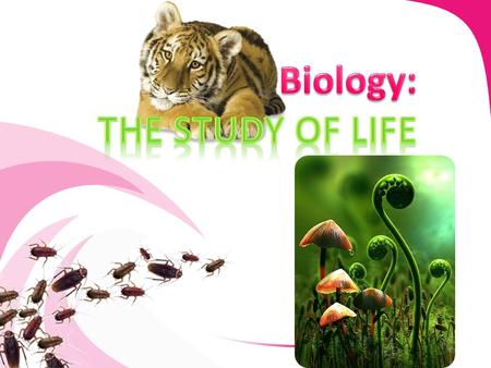 Biologist study the interactions of living things with other living things and their environments. Biologist study the interactions of living things with.