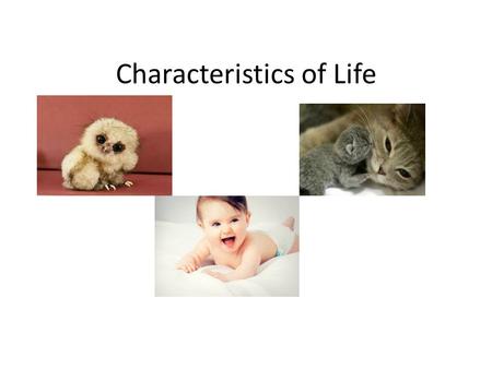 Characteristics of Life