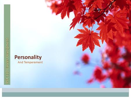 Personality And Temperament. Analyzing information in a detached, objective way Collecting & keeping track of data Managing projects Doing budgets.