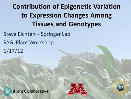 Contribution of Epigenetic Variation to Expression Changes Among Tissues and Genotypes Steve Eichten – Springer Lab PAG iPlant Workshop 1/17/12.