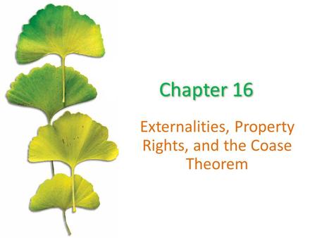 Externalities, Property Rights, and the Coase Theorem