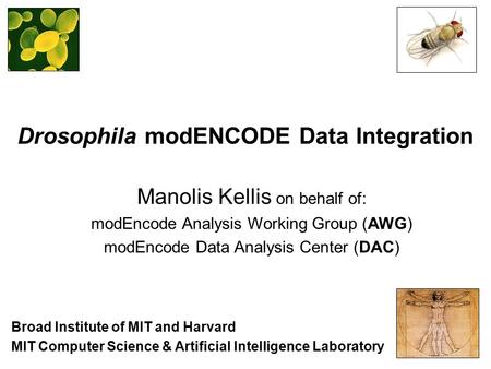 Drosophila modENCODE Data Integration Manolis Kellis on behalf of: modEncode Analysis Working Group (AWG) modEncode Data Analysis Center (DAC) MIT Computer.