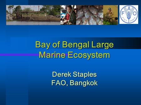 Bay of Bengal Large Marine Ecosystem Derek Staples FAO, Bangkok.