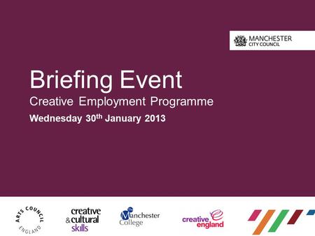 Briefing Event Creative Employment Programme Wednesday 30 th January 2013.